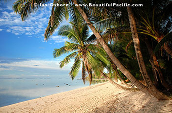 view of the beach at Tianas Beach Bungalows on Rarotonga